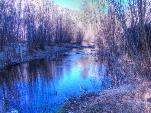 Black Canyon Creek will be our source for water.